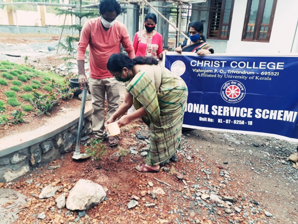 Environment Day Celebrations
